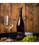 CLOS PONS JAN BLANC
